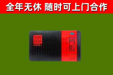 鼎湖回收阿胶
